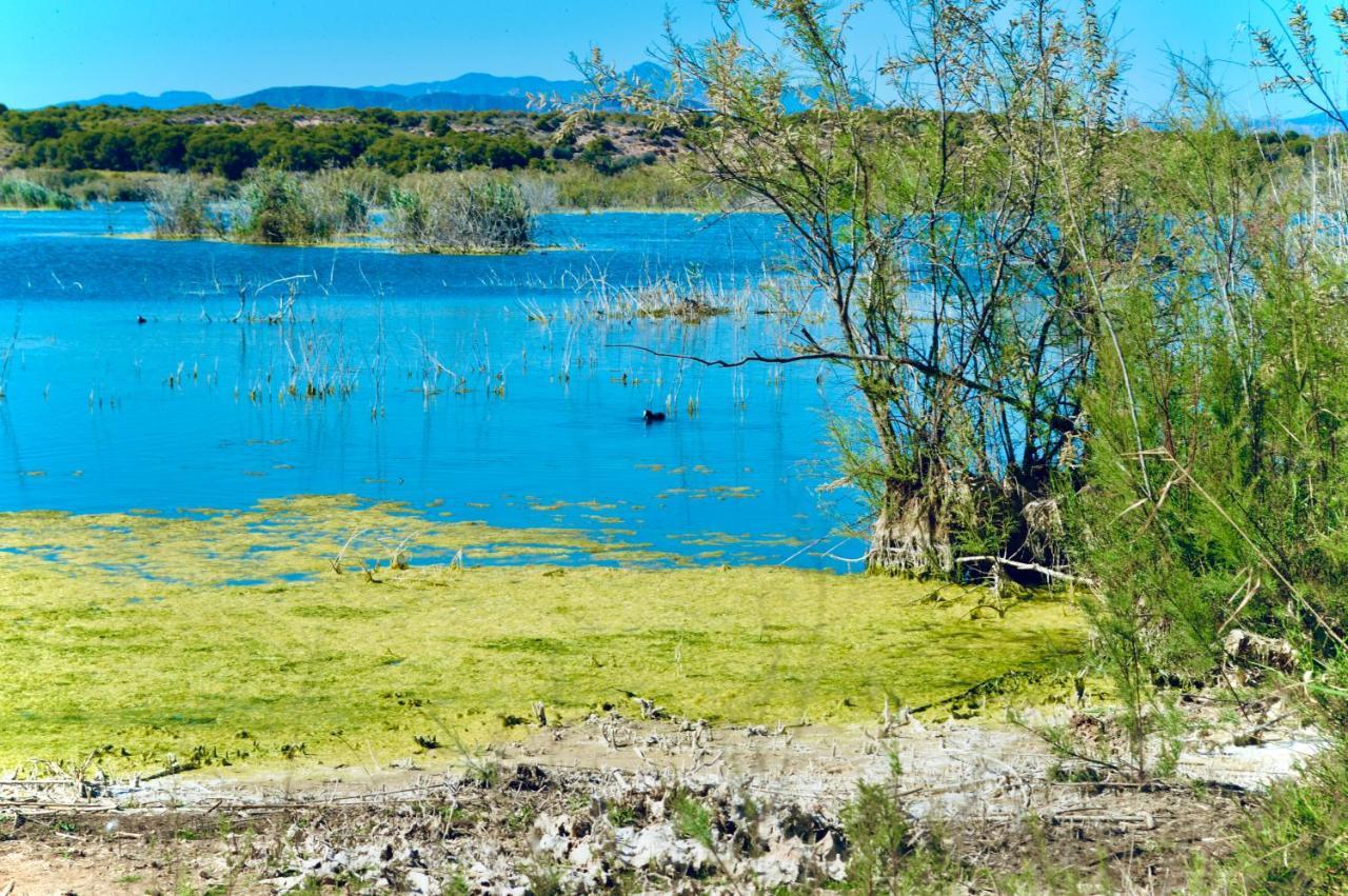 Refugio De Tranquilidad En Gran Alacant Buitenkant foto